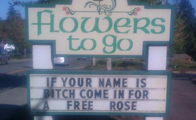 Daily Picdump Image 111