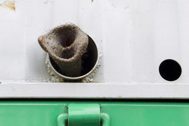 Daily Picdump Image 117