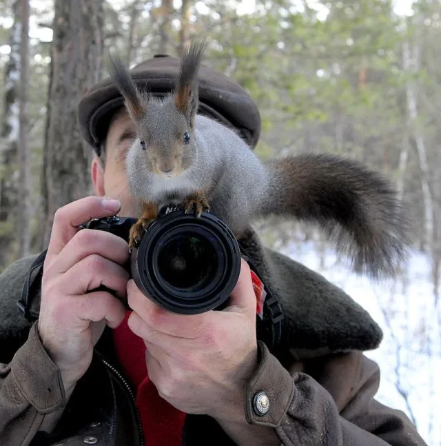 Daily Picdump Image 12