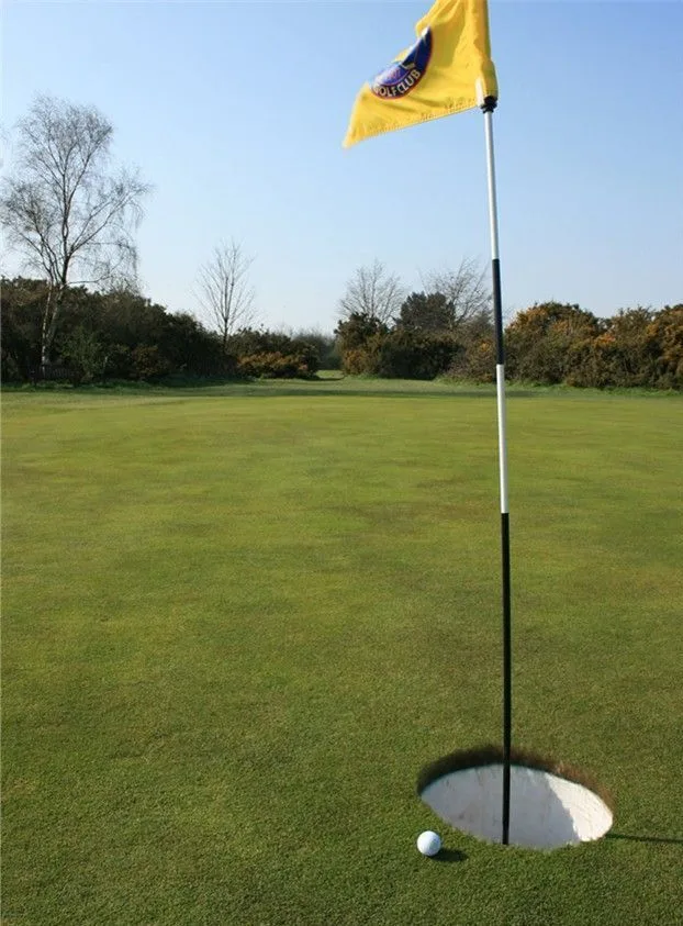 Daily Picdump Image 122