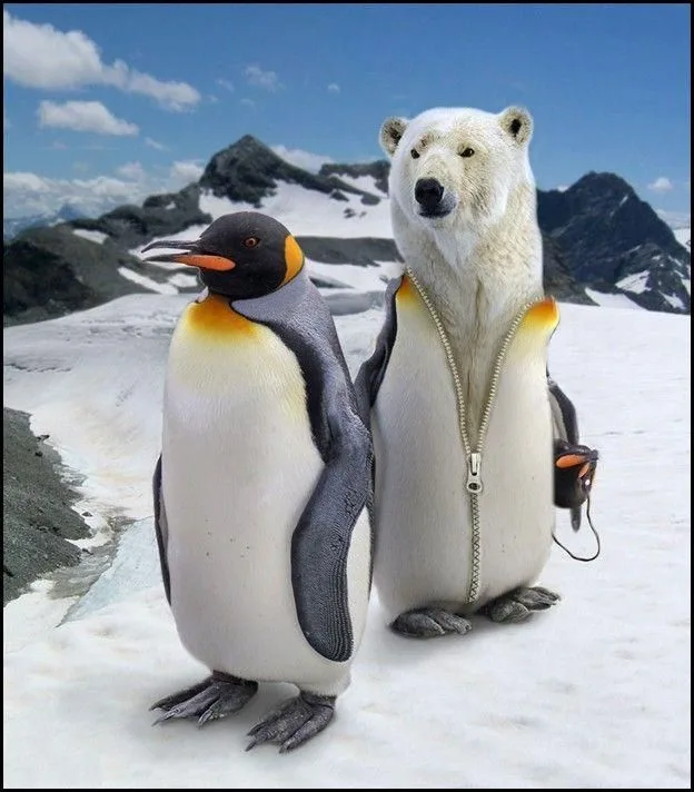 Daily Picdump Image 134