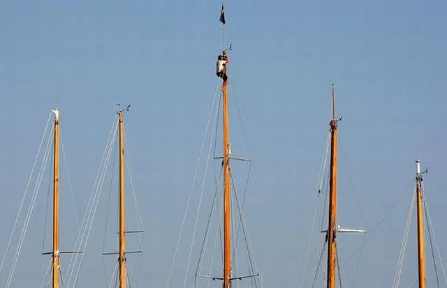 Daily Picdump Image 152