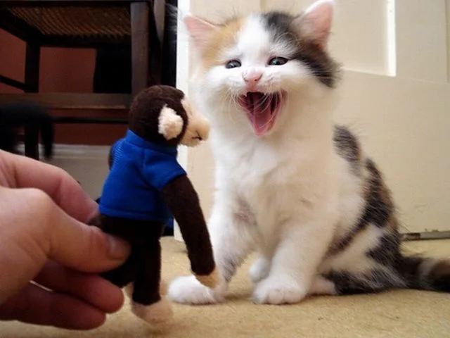 Daily Picdump Image 17