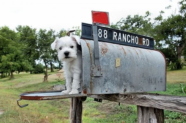 Daily Picdump Image 18