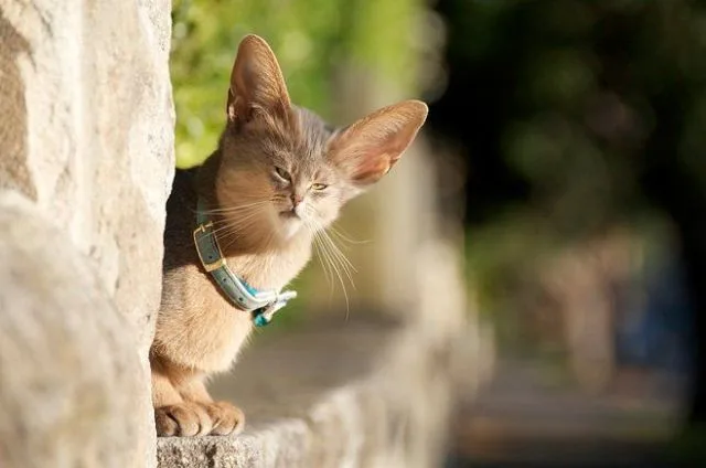 Daily Picdump Image 23