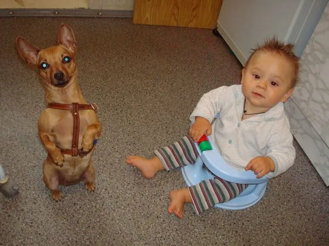 Daily Picdump Image 26