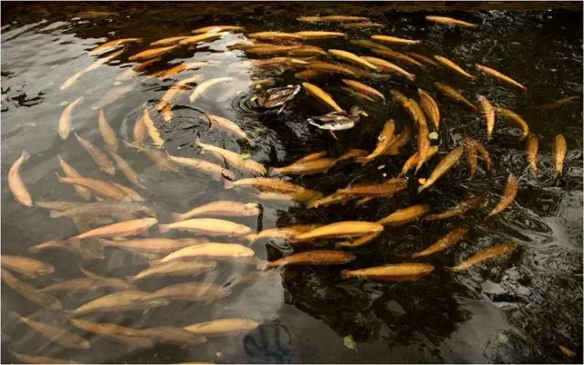 Daily Picdump Image 44