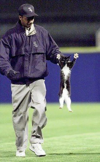 Daily Picdump Image 47