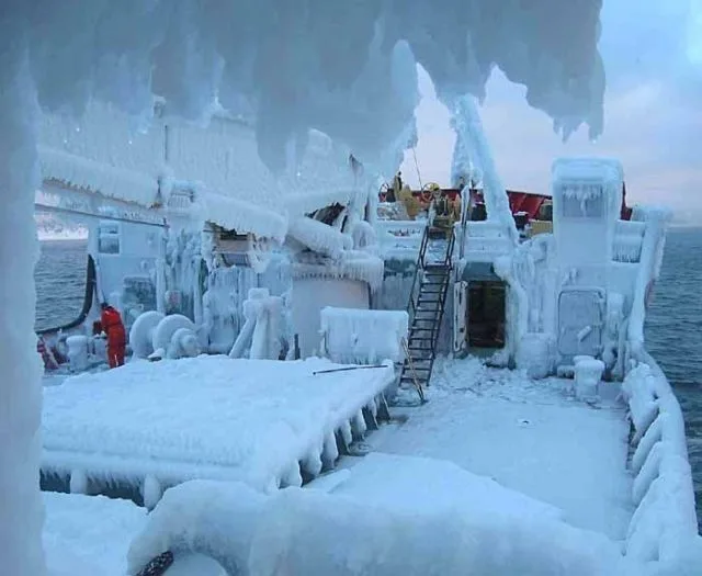 Daily Picdump Image 66