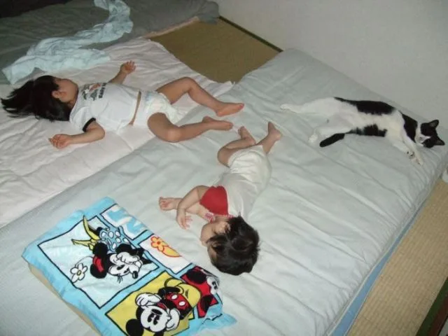 Daily Picdump Image 67