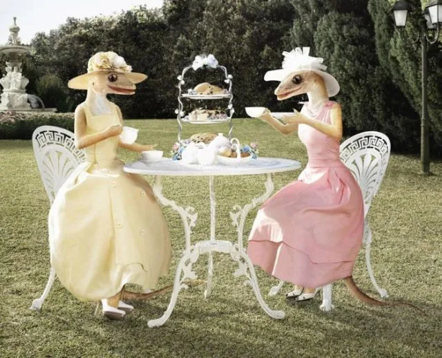 Daily Picdump Image 77