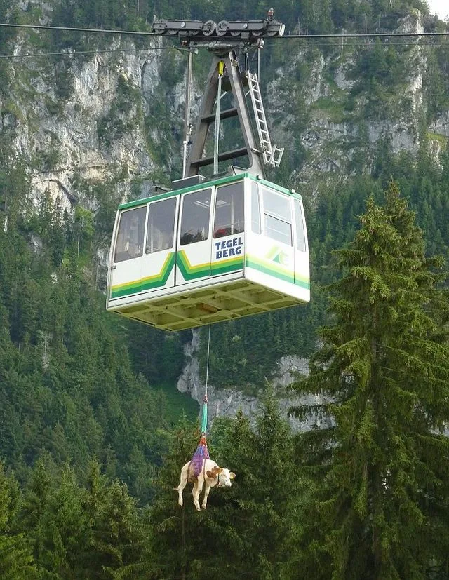 Daily Picdump Image 80