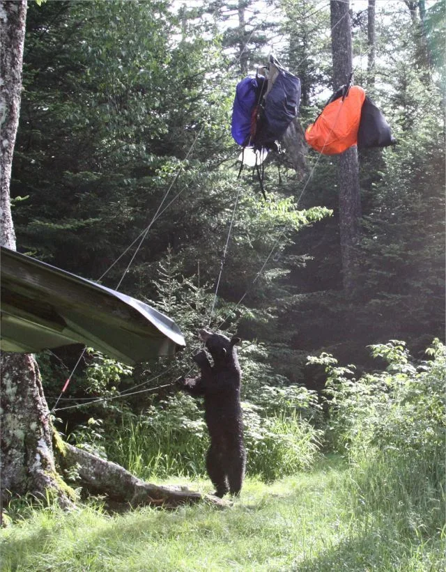 Daily Picdump Image 81