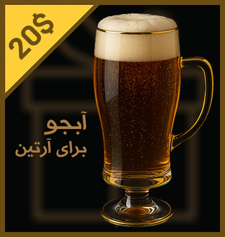 Buy a beer for Artin — $20